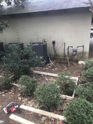 a tree in front of a building