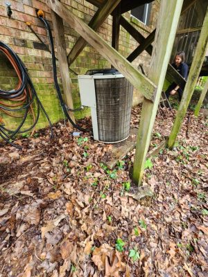 a close up of some grass